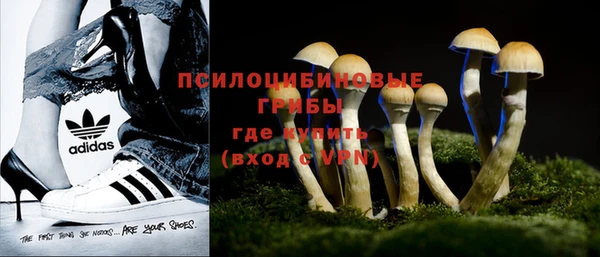 дживик Алзамай