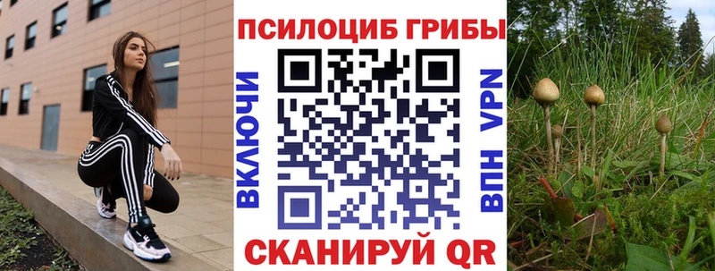 Псилоцибиновые грибы MAGIC MUSHROOMS  omg как зайти  Волжский  где купить наркотик 